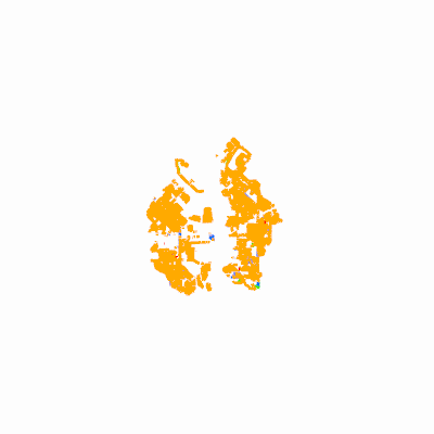Export Image