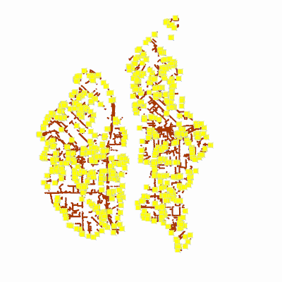 Export Image