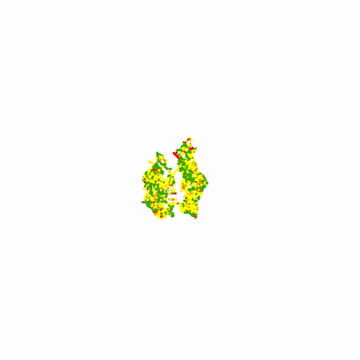 Export Image