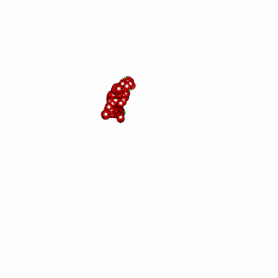 Export Image